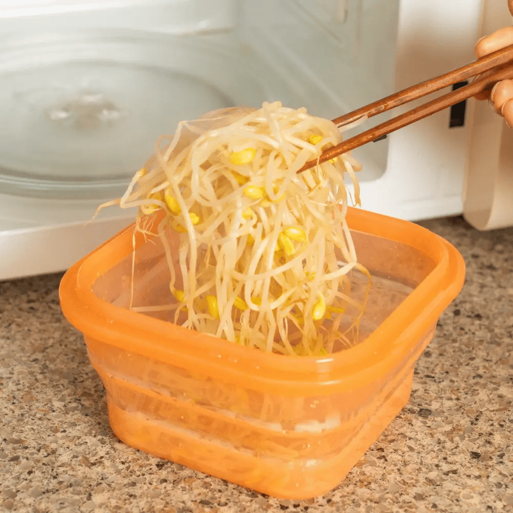 PALMLING® - Collapsible Lunch Box 200ml
